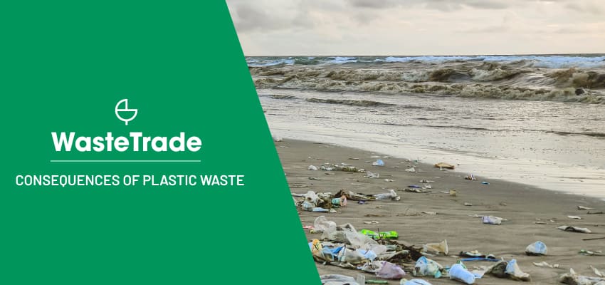 Συνέπειες των πλαστικών αποβλήτων και της ρύπανσης του περιβάλλοντος