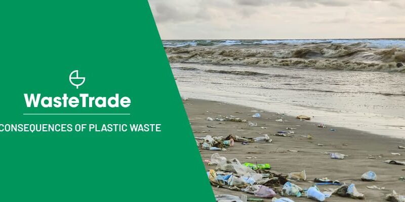 Conseguenze dei rifiuti di plastica e dell'inquinamento ambientale